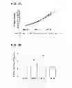Fig. 04 - Peptide for reducing the phosphate requirement and excretion from farm animals