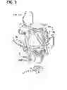Fig. 06 - Peptide for reducing the phosphate requirement and excretion from farm animals