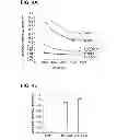 Fig. 07 - Peptide for reducing the phosphate requirement and excretion from farm animals