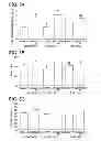 Fig. 08 - Peptide for reducing the phosphate requirement and excretion from farm animals