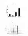 Fig. 02 - Conditional superagonist CTL ligands for the promotion of tumor-specific CTL responses