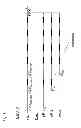 Fig. 02 - Mutated structural protein of a parvovirus