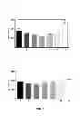 Fig. 02 - METHOD FOR THE DELIVERY OF OLIGONUCLEOTIDES