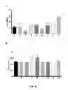Fig. 04 - METHOD FOR THE DELIVERY OF OLIGONUCLEOTIDES