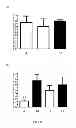 Fig. 06 - METHOD FOR THE DELIVERY OF OLIGONUCLEOTIDES