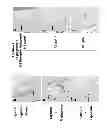 Fig. 06 - Delivery of H2 Antagonists