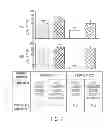 Fig. 09 - Compositions and methods for treating influenza