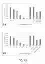 Fig. 07 - COPPER/SILICA NANOPARTICLES, METHODS OF MAKING, AND METHODS OF USE