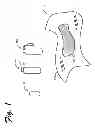Fig. 02 - Flavored wipe and dispensing system