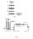 Fig. 02 - Method and Equipment for Producing Oxidation-Sensitive Liquids Implementing the Injection of Hydrogen Immediately Prior to Pasteurization