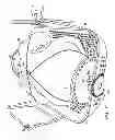 Fig. 09 - Frying apparatus and method