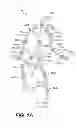 Fig. 02 - HUMAN MODEL