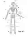 Fig. 05 - HUMAN MODEL