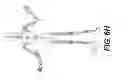 Fig. 42 - HUMAN MODEL