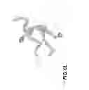 Fig. 46 - HUMAN MODEL