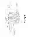 Fig. 55 - HUMAN MODEL