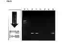 Fig. 07 - Probe and primer for tubercle bacillus detection, and method of detecting human tubercle bacillus therewith