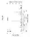 Fig. 06 - Single Nucleotide Polymorphisms Associated with Left Ventricular Hypertrophy and Use Thereof