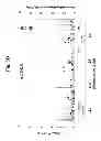 Fig. 08 - Single Nucleotide Polymorphisms Associated with Left Ventricular Hypertrophy and Use Thereof