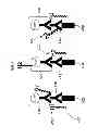 Fig. 04 - HAPTEN CONJUGATES FOR TARGET DETECTION