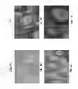 Fig. 08 - HAPTEN CONJUGATES FOR TARGET DETECTION