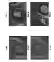 Fig. 09 - HAPTEN CONJUGATES FOR TARGET DETECTION