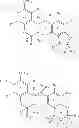 Fig. 47 - HAPTEN CONJUGATES FOR TARGET DETECTION