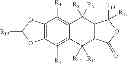 Fig. 63 - HAPTEN CONJUGATES FOR TARGET DETECTION