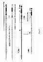 Fig. 03 - Genetically modified mice having humanized TCR variable genes