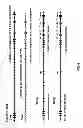 Fig. 13 - Genetically modified mice having humanized TCR variable genes