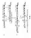Fig. 17 - Genetically modified mice having humanized TCR variable genes
