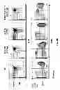 Fig. 22 - Genetically modified mice having humanized TCR variable genes
