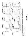 Fig. 29 - Genetically modified mice having humanized TCR variable genes
