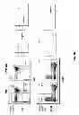 Fig. 31 - Genetically modified mice having humanized TCR variable genes