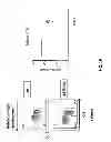 Fig. 32 - Genetically modified mice having humanized TCR variable genes