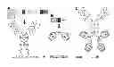 Fig. 01 - Modular method to prepare tetrameric cytokines with improved pharmacokinetics by the dock-and-lock