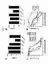 Fig. 03 - Modular method to prepare tetrameric cytokines with improved pharmacokinetics by the dock-and-lock