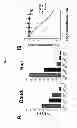 Fig. 05 - Modular method to prepare tetrameric cytokines with improved pharmacokinetics by the dock-and-lock