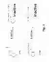 Fig. 02 - NOVEL HERBICIDE RESISTANCE GENE