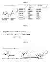 Fig. 04 - Protein exhibiting activity of pyrethrin biosynthetic enzyme, gene encoding the protein, and vector bearing the gene