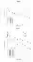 Fig. 07 - Transgenic Animal with Enhanced Immune Response and Method for the Preparation Thereof