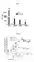 Fig. 09 - Transgenic Animal with Enhanced Immune Response and Method for the Preparation Thereof