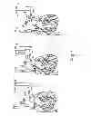 Fig. 02 - Decellularization and recellularization of solid organs