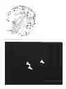 Fig. 13 - Method for obtaining pancreatic endocrine cells from adipose tissue-origin cells