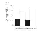 Fig. 19 - Method for obtaining pancreatic endocrine cells from adipose tissue-origin cells