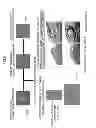 Fig. 10 - Method of producing tooth, set of teeth, and method of producing tissue