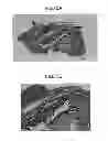 Fig. 16 - Method of producing tooth, set of teeth, and method of producing tissue