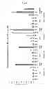 Fig. 04 - METHOD FOR TRANSFECTING A EUKARYOTIC CELL