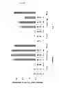 Fig. 08 - METHOD FOR TRANSFECTING A EUKARYOTIC CELL
