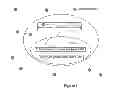Fig. 02 - BIOSECURE GENETICALLY MODIFIED ALGAE